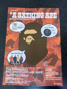 A Bathing Ape BAPE TERIYAKI BOYZ COVER 2009 Spring Summer Lookbook Catalogue