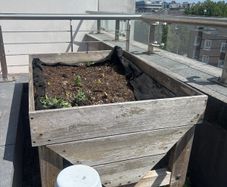 VegTrug Trough Planter 1 m