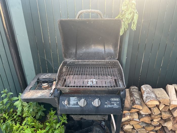 bbq
