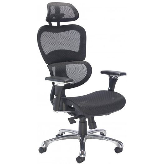 Chiachi Ergonomic High Back Managers Mesh Chair and Mesh Seat With Head Rest