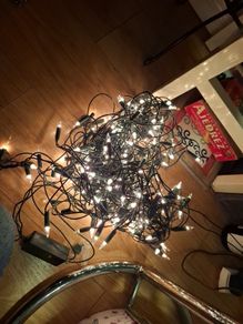Christmas Tree lights