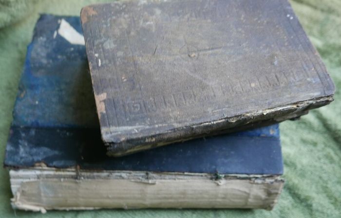 The Ave Maria A Magazine Devoted to the Honor of the Blessed Virgin 1894 and the Bible