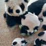 Panda bundle Image 5