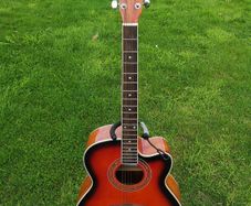 Tanglewood discovery