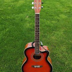 Tanglewood discovery