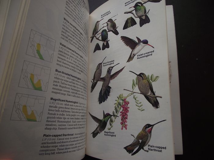 1987 "Field Guide To The Birds Of North America - National Geographic Society"