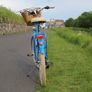 Blue Ladies Bike 26 inch City Bike Shimano 6 Speed  Basket and Lights Image 4