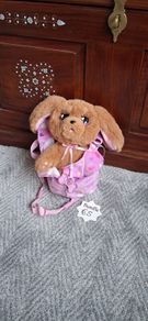 puppy dog with blanket