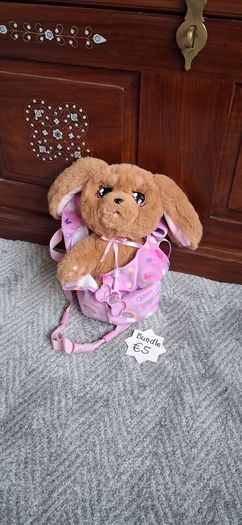 puppy dog with blanket