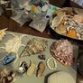 Sea shells, coral, sea glass etc Image 5