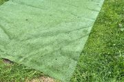fake grass
