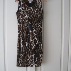 Leopard Print Dress.