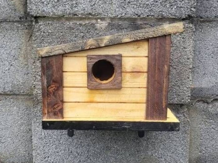 Bird house