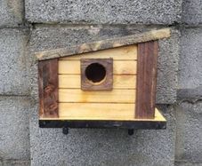 Bird house