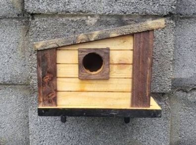 Bird house