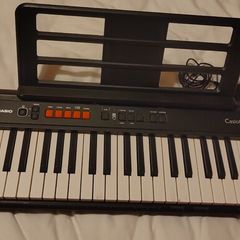Casio CT-S100 Casiotone Keyboard