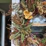 door wreath Image 2