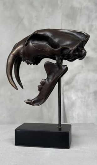 Sabre-Tooth Tiger (20cm) - Bronze, Signed