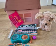 Our generation puppy house playset