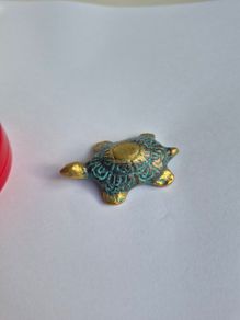 Brass Tortoise