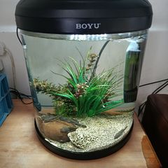 Boyu fish tank