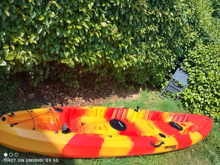 Kayak