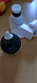 EBO Robot friend for cats.