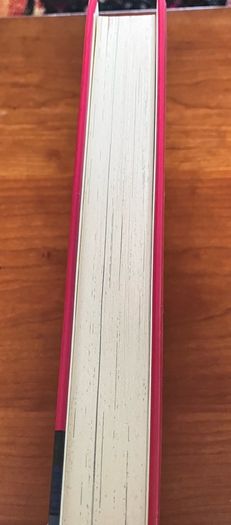 Super Sleuth by David Walliams