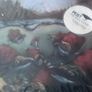 Black Metal albums Lot 7 CD Venom, Hexis, Tsatthoggua Image 3