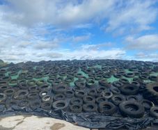 Grass silage