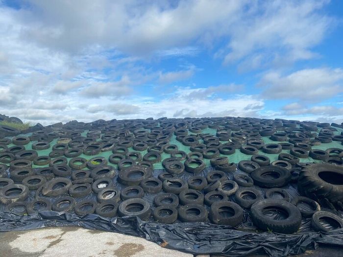 Grass silage