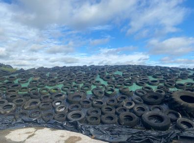 Grass silage