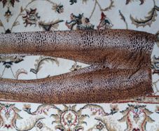 Ladies lycra leggings new  UK8 leopard print