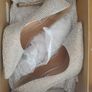 Steve Madden Crystal High Heels Image 6