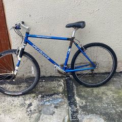 specialized bike