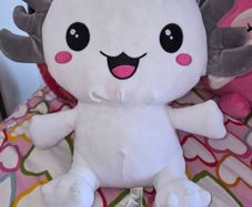 squishmallows assorted