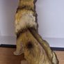 Sheltie Collie Dog Family Figurine Image 5