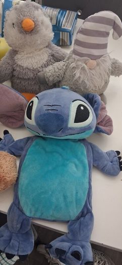 microwave and hot water bottle  teddies