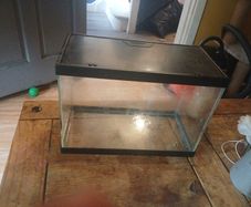 fish tank