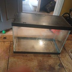 fish tank