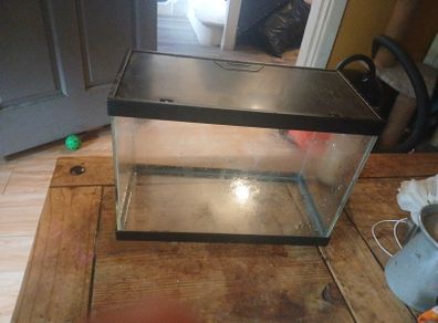 fish tank