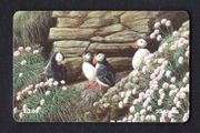 1997 Isle of Man UK3/ 33 units Puffins (Siemens - S30 (Module 34)) Phone Card.