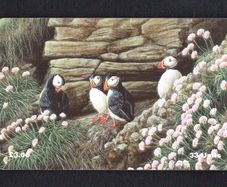 1997 Isle of Man UK3/ 33 units Puffins (Siemens - S30 (Module 34)) Phone Card.