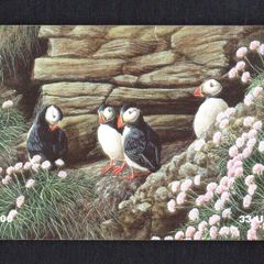 1997 Isle of Man UK3/ 33 units Puffins (Siemens - S30 (Module 34)) Phone Card.