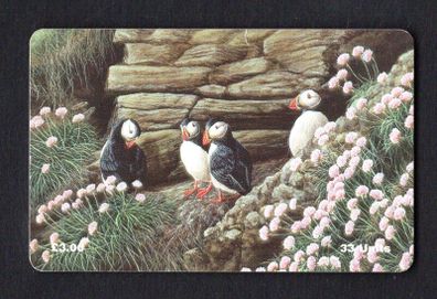 1997 Isle of Man UK3/ 33 units Puffins (Siemens - S30 (Module 34)) Phone Card.