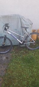womens bike