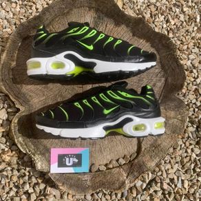 1 of 1 Premium Nike Air Max TN