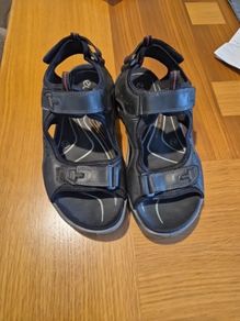 Men's ecco sandals