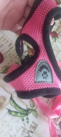 dog harness