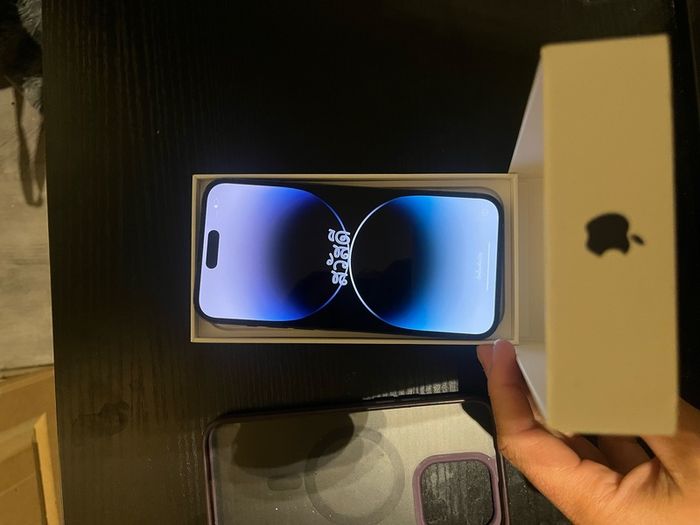 iPhone 14 Pro Max